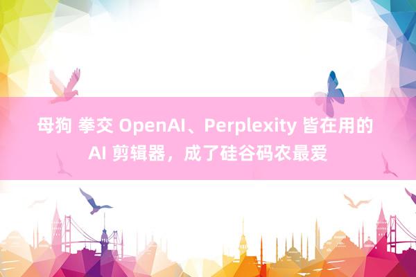 母狗 拳交 OpenAI、Perplexity 皆在用的 AI 剪辑器，成了硅谷码农最爱