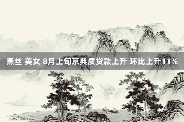 黑丝 美女 8月上旬京典质贷款上升 环比上升11%