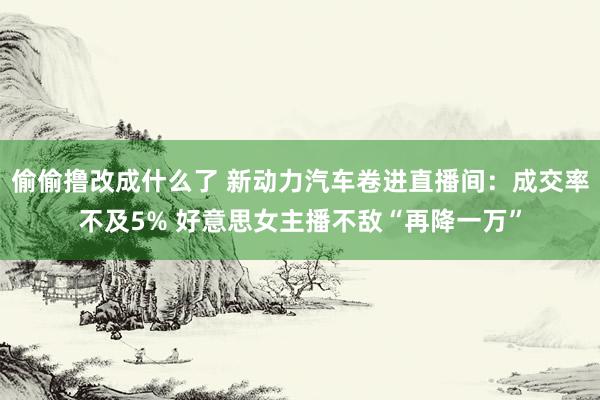 偷偷撸改成什么了 新动力汽车卷进直播间：成交率不及5% 好意思女主播不敌“再降一万”
