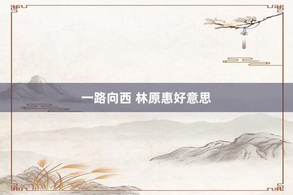 一路向西 林原惠好意思