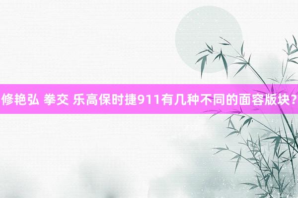 修艳弘 拳交 乐高保时捷911有几种不同的面容版块？