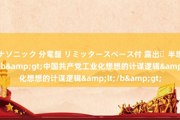 パナソニック 分電盤 リミッタースペース付 露出・半埋込両用形 &lt;b&gt;中国共产党工业化想想的计谋逻辑&lt;/b&gt;