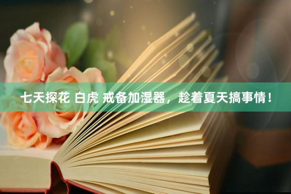 七天探花 白虎 戒备加湿器，趁着夏天搞事情！
