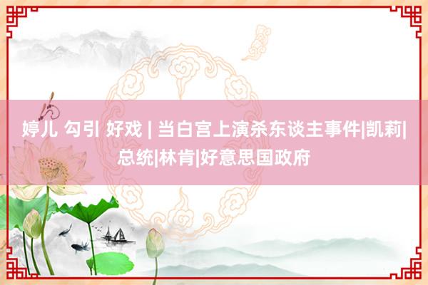婷儿 勾引 好戏 | 当白宫上演杀东谈主事件|凯莉|总统|林肯|好意思国政府