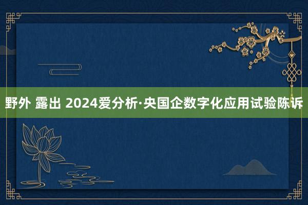 野外 露出 2024爱分析·央国企数字化应用试验陈诉