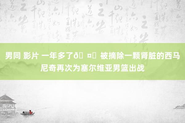 男同 影片 一年多了🤕被摘除一颗肾脏的西马尼奇再次为塞尔维亚男篮出战