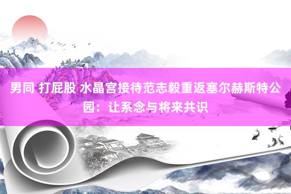 男同 打屁股 水晶宫接待范志毅重返塞尔赫斯特公园：让系念与将来共识