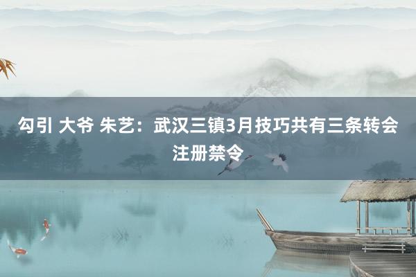 勾引 大爷 朱艺：武汉三镇3月技巧共有三条转会注册禁令